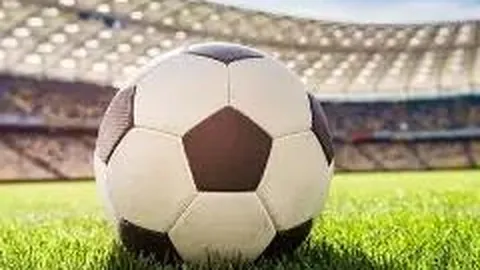 杏彩娱乐 资讯 134311 79t